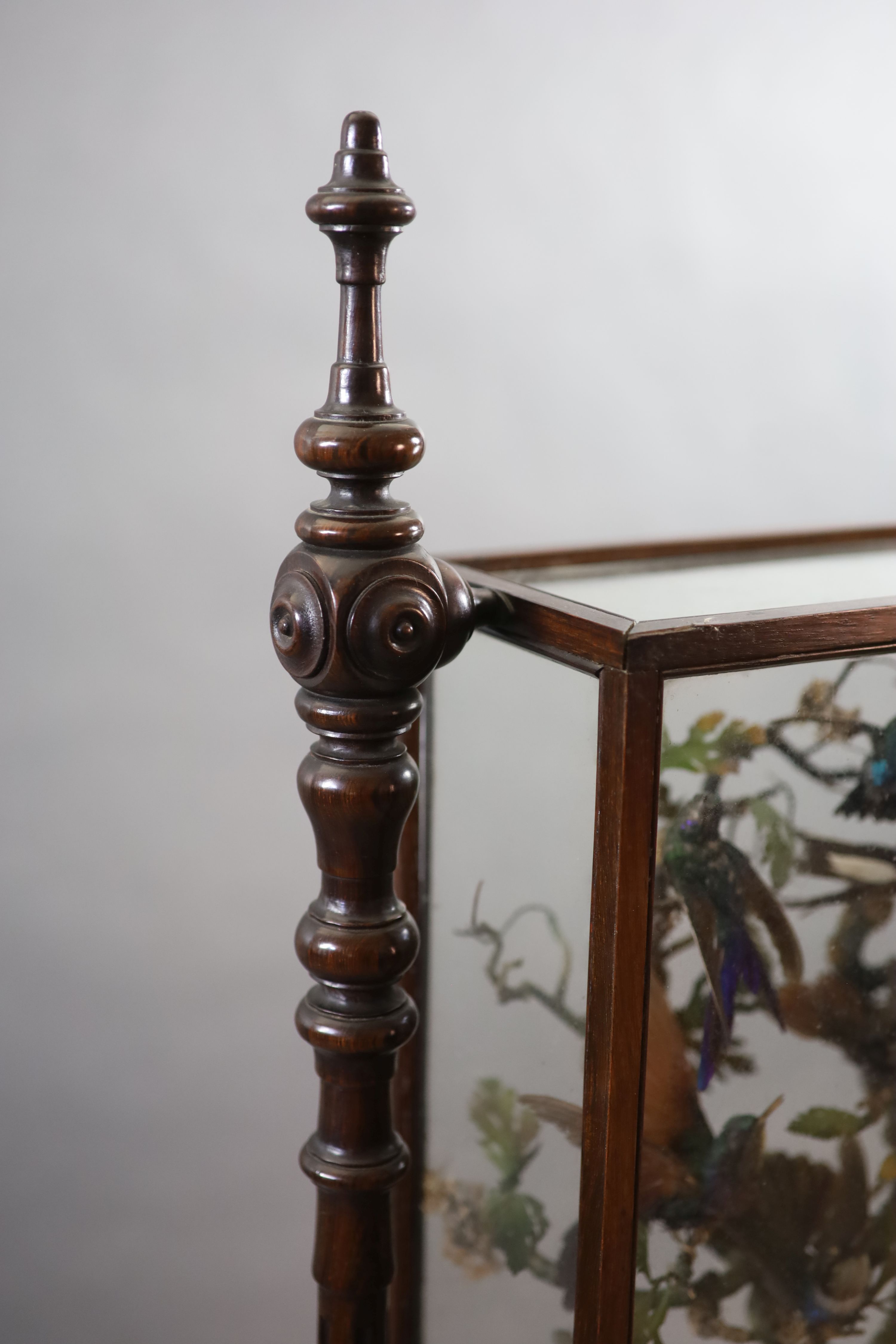 A large and impressive arboreal taxidermy arrangement, 19th century 72cm wide, 14cm deep, 137cm high (maximum)